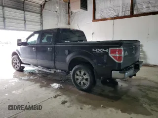 2010 Ford F-150 XL with VIN 1FTFW1EV8AFD31300, listed as a Copart auction lot 45961935 with Not Provided miles and Salvage Title. Bid and sale history available at DreamBid. Image 2.