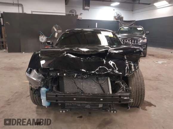 2024 Ford Mustang GT with VIN 1FA6P8CF0R5420366, listed as a IAAI auction lot 42232926 with 14,244 mi miles and . Bid and sale history available at DreamBid. Image 12.