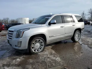 2015 Cadillac Escalade Platinum with VIN 1GYS4PKJ1FR722054, listed as a Copart auction lot 48218065 with 193,041 mi miles and Salvage Title. Bid and sale history available at carsss.com. Image 1.