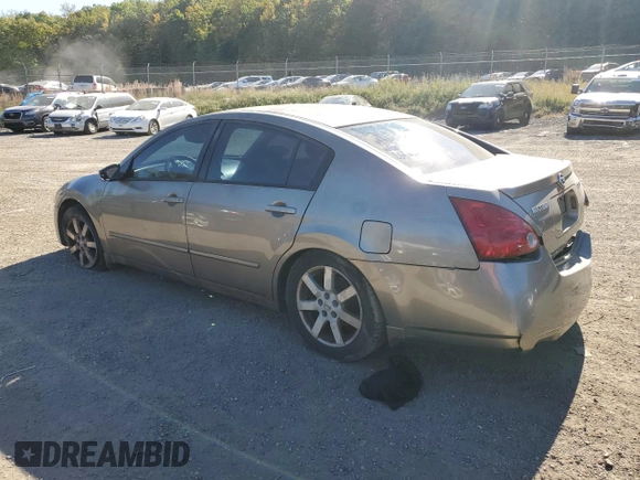 2006 Nissan Maxima 3.5 SE with VIN 1N4BA41E06C816906, listed as a Copart auction lot 74484604 with 0 mi miles and Salvage Title. Bid and sale history available at carsss.com. Image 2.