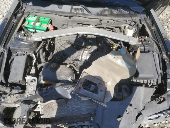 2014 Ford Mustang V6 with VIN 1ZVBP8EM8E5310788, listed as a Copart auction lot 48499365 with 73,720 mi miles and Salvage Title. Bid and sale history available at carsss.com. Image 11.