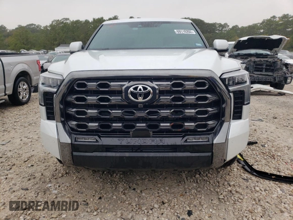 2022 Toyota Tundra 2WD Platinum with VIN 5TFNA5AB6NX003726, listed as a Copart auction lot 69110202 with 5,665 mi miles. Bid and sale history available at carsss.com. Image 5.