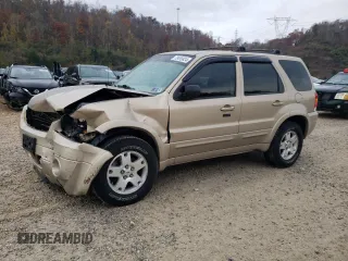 2007 Ford Escape Limited with VIN 1FMCU94187KA21164, listed as a Copart auction lot 78499824 with 189,016 mi miles and Salvage Title. Bid and sale history available at carsss.com. Image 1.