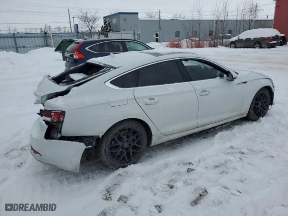 2019 Audi A5 Sportback Premium Plus with VIN WAUBNCF54KA036377, listed as a Copart auction lot 87181174 with NaN miles and Salvage Title. Bid and sale history available at carsss.com. Image 3.