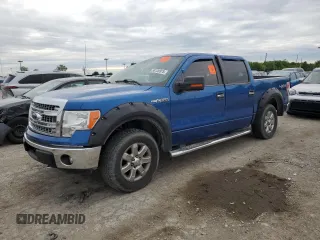 2013 Ford F-150 XL with VIN 1FTFW1EF1DKD22149, listed as a Copart auction lot 58136975 with 202,594 mi miles and Salvage title. Bid and sale history available at DreamBid. Image 1.