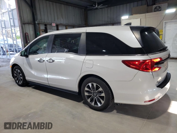 2024 Honda Odyssey EX-L with VIN 5FNRL6H68RB005052, listed as a Copart auction lot 53072325 with 34,758 mi miles and Salvage Title. Bid and sale history available at DreamBid. Image 2.