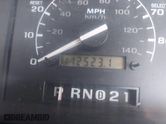 1995 Ford F-150 with VIN 1FTDF15Y5SNA21470, listed as a IAAI auction lot 42066183 with 112,523 mi miles. Bid and sale history available at carsss.com. Image 7.