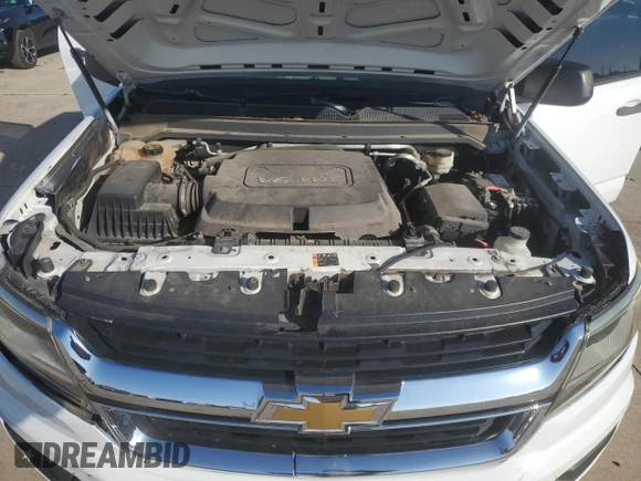 2015 Chevrolet Colorado 2WD WT with VIN 1GCGSAE38F1121119, listed as a Copart auction lot 79663854 with 137,804 mi miles and Salvage title. Bid and sale history available at DreamBid. Image 12.