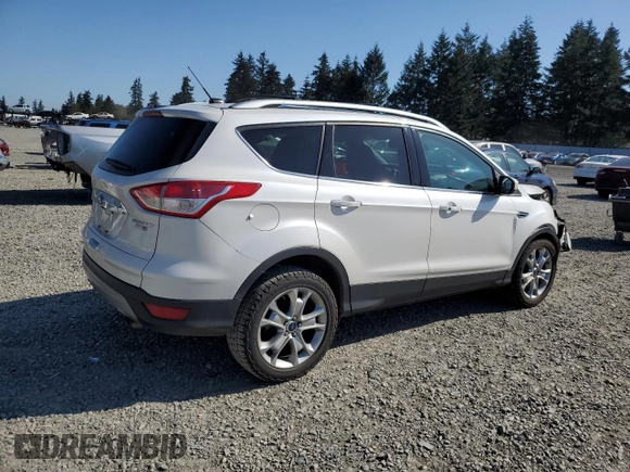 2016 Ford Escape Titanium with VIN 1FMCU9JX5GUC44579, listed as a Copart auction lot 54974965 with 113,776 mi miles and Salvage Title. Bid and sale history available at DreamBid. Image 3.