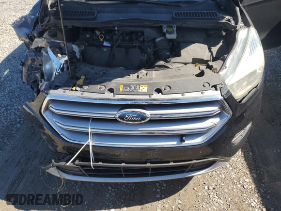 2017 Ford Escape SE with VIN 1FMCU0G95HUA28589, listed as a Copart auction lot 48120545 with 199,424 mi miles and Salvage Title. Bid and sale history available at carsss.com. Image 12.