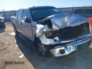 2013 Ford F-150 XL with VIN 1FTEW1CM4DFA94606, listed as a IAAI auction lot 41694243 with 250,025 mi miles. Bid and sale history available at carsss.com. Image 1.