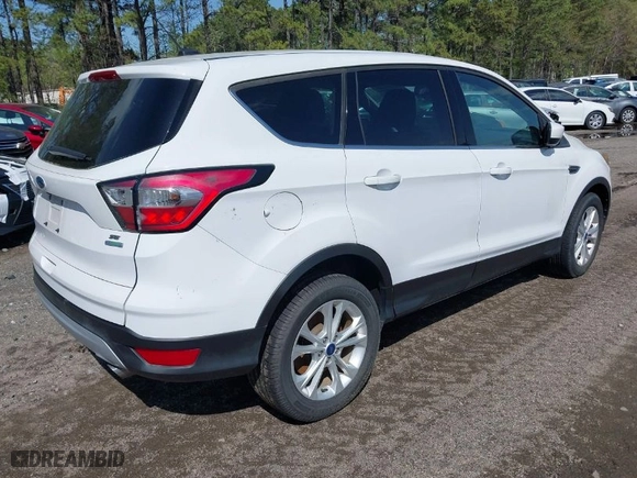 2017 Ford Escape SE with VIN 1FMCU0GD1HUE87252, listed as a IAAI auction lot 41879663 with 122,994 mi miles. Bid and sale history available at carsss.com. Image 4.