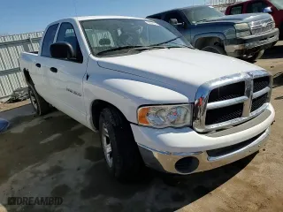 2005 Dodge Ram 1500 SLT with VIN 1D7HA18N65S350322, listed as a Copart auction lot 46690755 with 130,115 mi miles and Salvage Title. Bid and sale history available at carsss.com. Image 10.