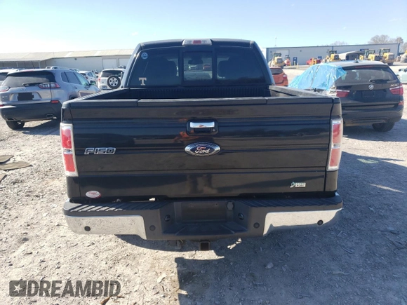 2010 Ford F-150 XL with VIN 1FTFW1CV6AFD29855, listed as a Copart auction lot 50310575 with 160,094 mi miles and Clean Title. Bid and sale history available at carsss.com. Image 6.