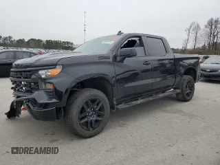 2024 Chevrolet Silverado 1500 Custom Trail Boss with VIN 3GCUDCED9RG126451, listed as a Copart auction lot 88024415 with 18,232 mi miles and Salvage Title. Bid and sale history available at carsss.com. Image 1.