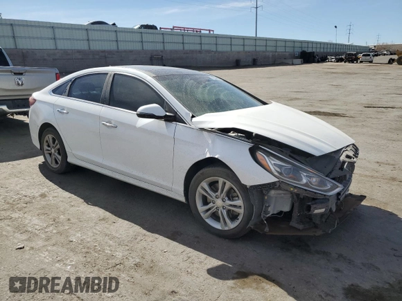 2019 Hyundai Sonata SEL with VIN 5NPE34AF5KH738048, listed as a Copart auction lot 49234445 with 62,075 mi miles and Salvage Title. Bid and sale history available at DreamBid. Image 4.