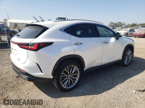 2022 Lexus NX with VIN JTJGGCEZ2N5002083, listed as a Copart auction lot 70023323 with 22,482 mi miles. Bid and sale history available at carsss.com. Image 3.