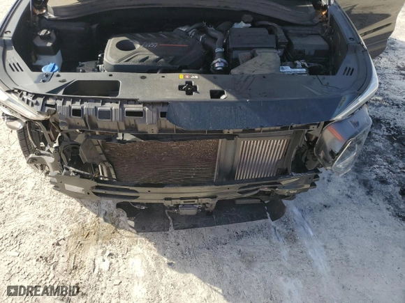2019 Hyundai Santa Fe Limited with VIN 5NMS53AA2KH124888, listed as a Copart auction lot 47718135 with 98,030 mi miles and Salvage Title. Bid and sale history available at carsss.com. Image 12.