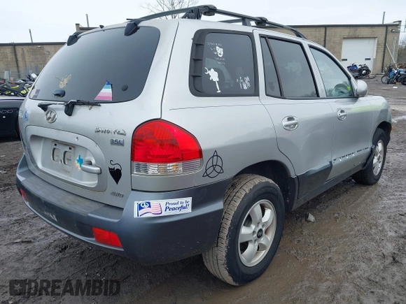 2005 Hyundai Santa Fe GLS with VIN KM8SC73E45U878509, listed as a IAAI auction lot 41776048 with 171,478 mi miles. Bid and sale history available at carsss.com. Image 4.