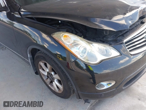 2010 Infiniti EX with VIN JN1AJ0HP0AM700181, listed as a IAAI auction lot 42515423 with 117,651 mi miles and . Bid and sale history available at DreamBid. Image 13.