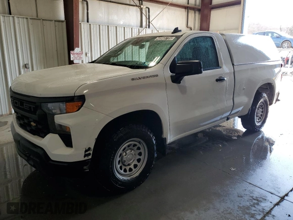 2023 Chevrolet Silverado 1500 Work Truck with VIN 3GCNAAEK5PG346635, listed as a Copart auction lot 48968735 with 102,241 mi miles and Clean Title. Bid and sale history available at carsss.com. Image 1.
