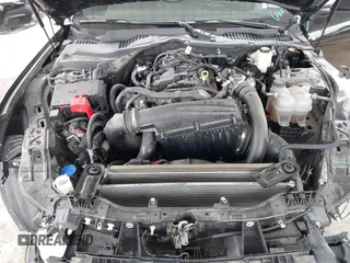 2024 Ford Mustang EcoBoost with VIN 1FA6P8TH2R5109961, listed as a IAAI auction lot 42265834 with 16,688 mi miles and . Bid and sale history available at DreamBid. Image 10.