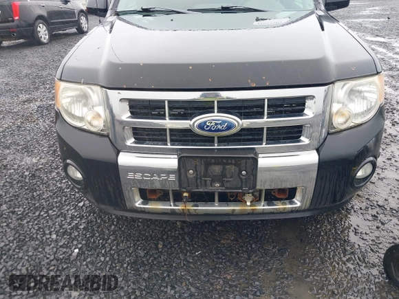 2010 Ford Escape Limited с VIN 1FMCU9EG7AKA85450, выставлен на аукционе IAAI как лот 41991297 с пробегом Не указан миль и . История ставок и продаж доступна на DreamBid. Изображение 6.