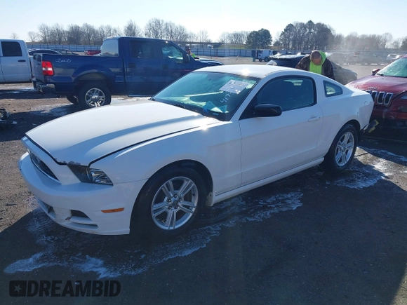 2013 Ford Mustang V6 with VIN 1ZVBP8AM6D5275902, listed as a IAAI auction lot 41750633 with 246,762 mi miles and . Bid and sale history available at DreamBid. Image 22.