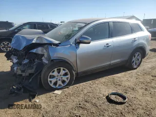 2012 Mazda CX-9 Touring with VIN JM3TB3CV8C0362539, listed as a Copart auction lot 55128315 with 206,555 mi miles and Salvage title. Bid and sale history available at DreamBid. Image 1.