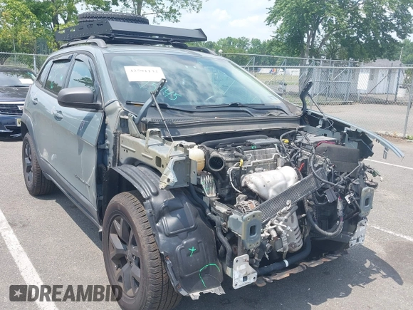 2015 Jeep Cherokee Trailhawk with VIN 1C4PJMBB0FW528421, listed as a IAAI auction lot 42591132 with 166,425 mi miles and . Bid and sale history available at DreamBid. Image 1.