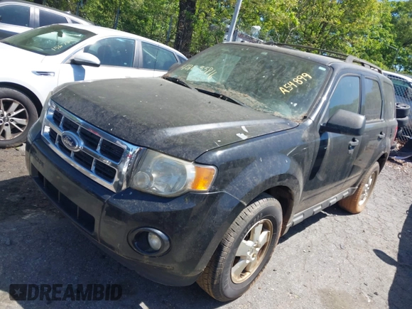2011 Ford Escape XLT with VIN 1FMCU0D7XBKA54899, listed as a IAAI auction lot 42035816 with 180,770 mi miles. Bid and sale history available at carsss.com. Image 2.