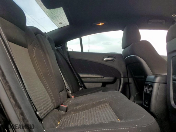 2018 Dodge Charger SXT Plus with VIN 2C3CDXHG0JH210143, listed as a Copart auction lot 48135765 with 189,248 mi miles and Salvage Title. Bid and sale history available at carsss.com. Image 10.