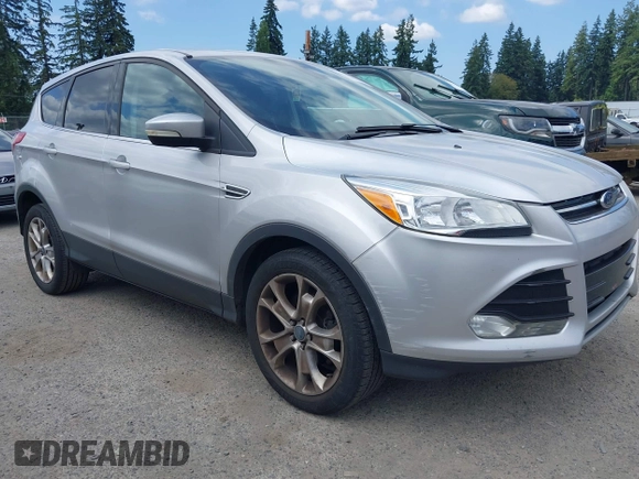 2013 Ford Escape SEL with VIN 1FMCU0HX5DUB53695, listed as a IAAI auction lot 42795881 with 165,330 mi miles and . Bid and sale history available at DreamBid. Image 6.