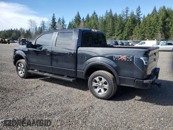 2011 Ford F-150 XL with VIN 1FTFW1EF1BFC50696, listed as a Copart auction lot 50950275 with 131,517 mi miles and Clean Title. Bid and sale history available at carsss.com. Image 2.