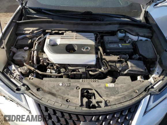 2019 Lexus UX 200 with VIN JTHY3JBH5K2014971, listed as a Copart auction lot 52124135 with 75,121 mi miles and Salvage title. Bid and sale history available at DreamBid. Image 12.