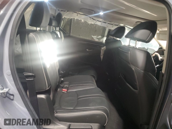 2025 Honda Pilot Elite with VIN 5FNYG1H81SB017554, listed as a Copart auction lot 41770965 with 11,893 mi miles and Salvage Title. Bid and sale history available at DreamBid. Image 10.