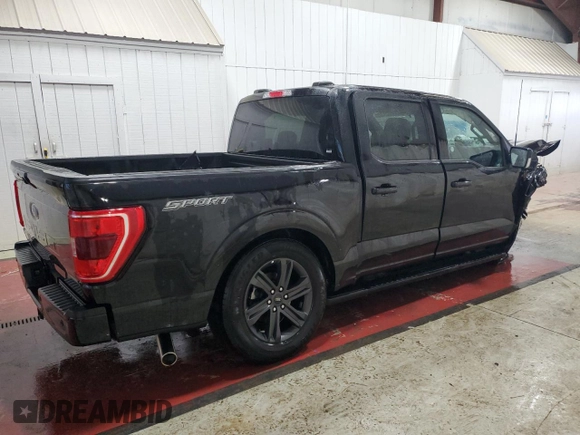 2023 Ford F-150 XL with VIN 1FTEW1C58PFC29051, listed as a Copart auction lot 51284705 with Not Provided miles and Non Repairable. Bid and sale history available at DreamBid. Image 3.