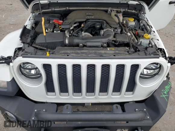 2019 Jeep Wrangler Unlimited Sahara with VIN 1C4HJXEG9KW600644, listed as a Copart auction lot 56193655 with 46,198 mi miles and Salvage title. Bid and sale history available at DreamBid. Image 11.