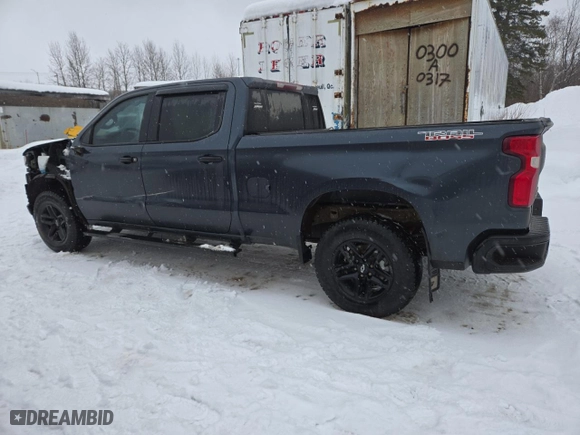 2019 Chevrolet Silverado 1500 Custom Trail Boss with VIN 1GCPYCEF8KZ414311, listed as a Copart auction lot 44328785 with 160,718 mi miles and Salvage Title. Bid and sale history available at carsss.com. Image 2.