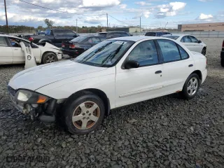 2004 Chevrolet Cavalier LS with VIN 1G1JF52F347230994, listed as a Copart auction lot 76256674 with 219,225 mi miles and Salvage Title. Bid and sale history available at carsss.com. Image 1.
