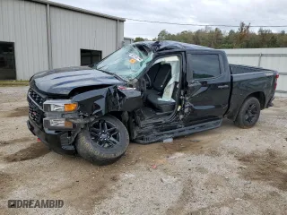 2019 Chevrolet Silverado 1500 Custom Trail Boss with VIN 3GCPYCEF3KG291520, listed as a Copart auction lot 82013774 with 0 mi miles and Salvage Title. Bid and sale history available at carsss.com. Image 1.