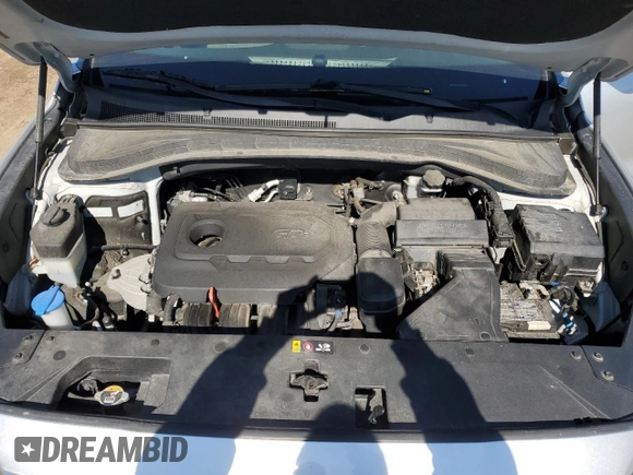 2020 Hyundai Santa Fe SE with VIN 5NMS2CAD5LH164984, listed as a Copart auction lot 58176345 with 110,226 mi miles and Clean title. Bid and sale history available at DreamBid. Image 11.