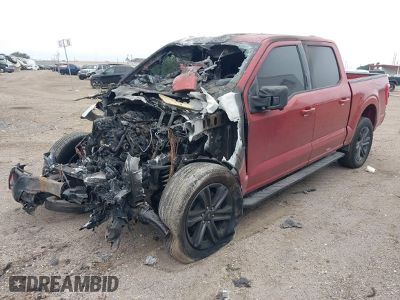 2023 Ford F-150 XL with VIN 1FTFW1E58PKF53254, listed as a IAAI auction lot 41250776 with 1 mi miles. Bid and sale history available at carsss.com. Image 2.
