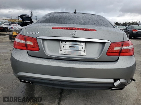2010 Mercedes-Benz E-Class E 550 with VIN WDDKJ7CB5AF046696, listed as a Copart auction lot 49076015 with 0 mi miles and Salvage Title. Bid and sale history available at carsss.com. Image 6.