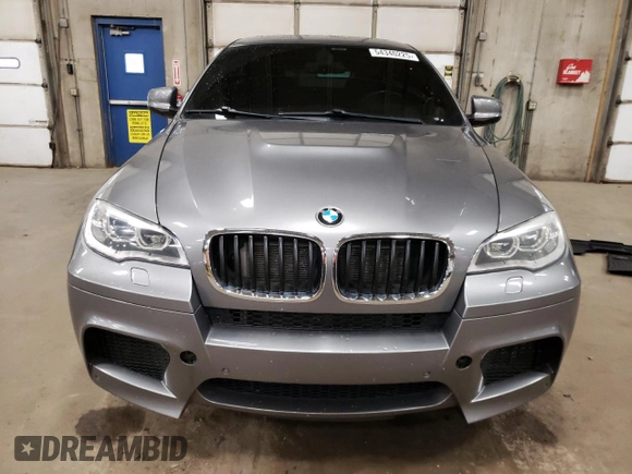 2013 BMW X6 M with VIN 5YMGZ0C5XDLL29831, listed as a Copart auction lot 54340225 with 117,503 mi miles and Salvage Title. Bid and sale history available at carsss.com. Image 5.