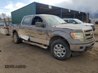 2013 Ford F-150 XL with VIN 1FTFW1EF3DFA22301, listed as a Copart auction lot 49437525 with Not Provided miles and Salvage Title. Bid and sale history available at DreamBid. Image 4.