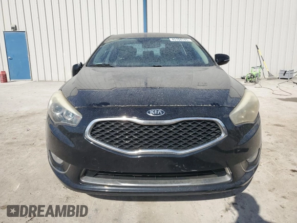 2014 Kia Cadenza Premium with VIN KNALN4D79E5120531, listed as a Copart auction lot 45104745 with Not Provided miles and Salvage Title. Bid and sale history available at DreamBid. Image 5.