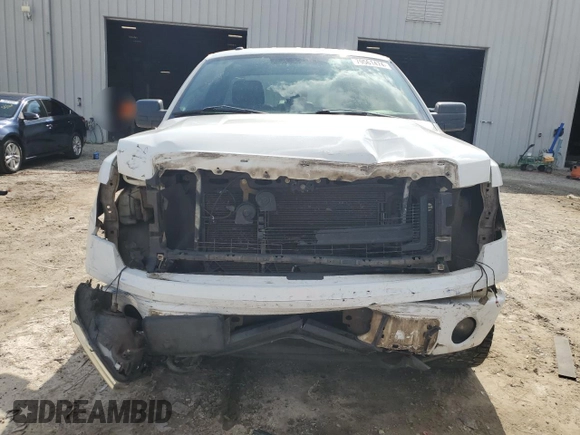 2013 Ford F-150 XL with VIN 1FTMF1EF1DFA51044, listed as a Copart auction lot 79561474 with 191,122 mi miles and Salvage Title. Bid and sale history available at DreamBid. Image 5.