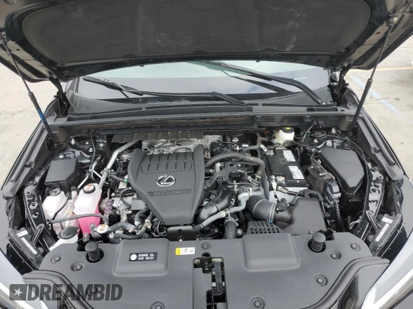 2025 Lexus NX 350 Premium с VIN 2T2GGCEZ5SC071931, выставлен на аукционе Copart как лот 66513165 с пробегом 1 870 миль миль и Списание • Salvage title. История ставок и продаж доступна на DreamBid. Изображение 12.