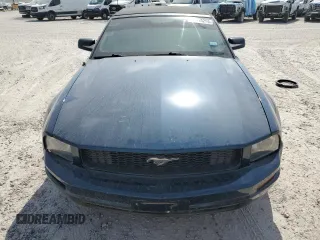 2005 Ford Mustang Deluxe with VIN 1ZVFT84N755202833, listed as a Copart auction lot 53318295 with 134,956 mi miles and Clean Title. Bid and sale history available at carsss.com. Image 5.